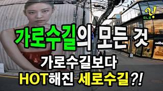 [4K 풀영상] 신사동 가로수길의 모든 것 (가로수길 Top7)