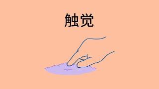 触觉 - Sense of Touch (Chinese)