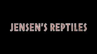 JENSENS REPTILES (JOKE TRAILER)