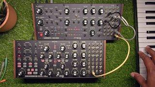 uh... Moog Labyrinth x Subharmonicon