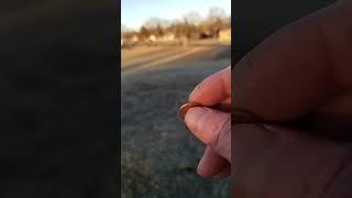 I am on top of a hill at a park I found a penny