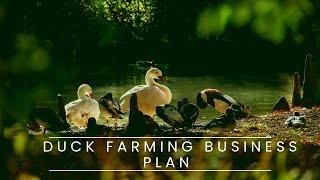 Duck Farming Business Plan