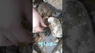 돌 밑에 뭐 있는지 봐주세요