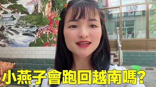 一聽到小燕子是從越南嫁過來的，很多人都害怕我再跑回去，來聽聽小燕子是怎麼想的！【越南小燕子】