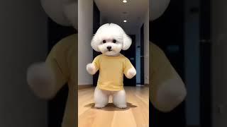 강아지의 띵띵땅땅 커버댄스 Cover Dance Dog +네이쳐짤 NATURE ZZAL+