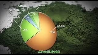 СУПЕРФУД | ПОЧЕМУ СПИРУЛИНА - идеальная еда? Абсолютное качество абсолютная цена Атоми Atomy