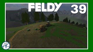 Let's Play | FS '11 | Feldy 39