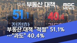 부동산 대책 "적절" 51.1%…"과도" 40.4% (2020.01.02/뉴스투데이/MBC)