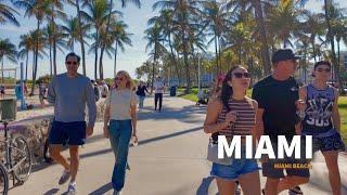 Miami Beach is the BEST Winter ESCAPE You Never Knew You Needed!