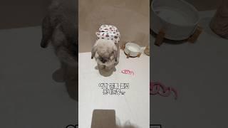 토끼 혼내고 걱정돼서 다시 가봤더니......