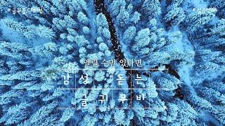 감성 글귀 - 시간을 얼릴 수만 있다면