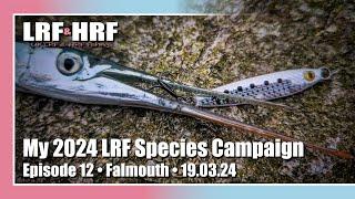 Episode 12: My 2024 LRF Species Hunt - Falmouth