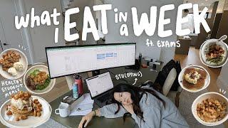 what i eat as a college student (exam week) | my journey w. hustle culture, burnout & perfectionism