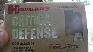 HORNADY CRITICAL DEFENSE 12g buckshot demo