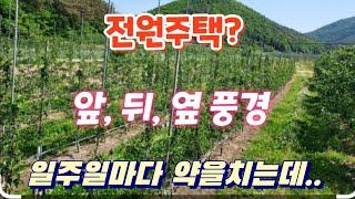 전원주택 반값에도 안팔려 떠나지도 못하는 여성분 사연을 전합니다.