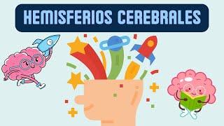 Hemisferios cerebrales y sus funciones