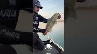  STA Fishing 2025 começou com tudo no Náutico Fronteira! 