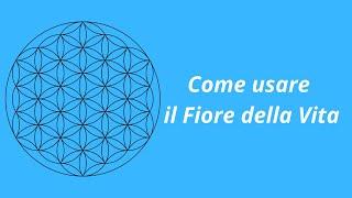 Come usare il Fiore della vita in Radionica