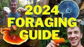 2025 Foraging Guide to Wild Mushrooms and Plants!