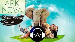  Ark Nova Soundtrack - Ambient Music for playing the Board Game Ark Nova [with animal Sounds]