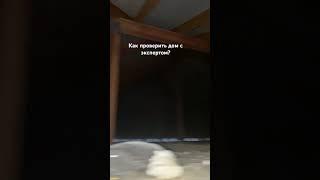 Заглянули на чердак и кровлю. Проверка дома перед покупкой. Экспертиза строительства.