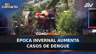 Época invernal aumenta casos de Dengue | En Contacto | Ecuavisa