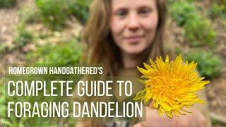 The Complete Guide to Foraging, Processing and Cooking Dandelions