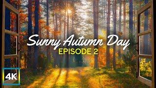 4K Peaceful Window View from a Forest House - Sunny Autumn Day - Relaxing Screensaver #2