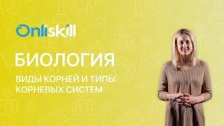 БИОЛОГИЯ 6 класс: Виды корней и типы корневых систем | Видеоурок