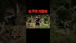 고릴라야 사람이야?  #shorts