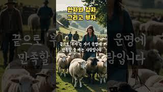 현자와 강자 그리고 부자 #명언#김수환 추기경#인생조언