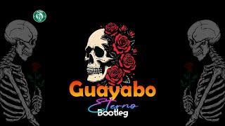 Guayabo Eterno  (Guaracha | Bootleg | Afro) Aleteo | Electronica Prod. Aleteo Vip x Emily Galviz