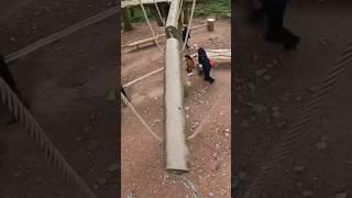 Scary Obstacle Challenge @ZipworldUK #obstaclechallenge #obstaclecourse #scary #ropebridge #fun