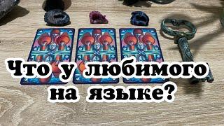 Что у любимого на языке? Гадание на таро Расклад онлайн Tarot Reading