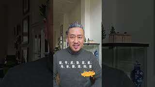 你会用你的方言背生肖吗？听听温州文成方言