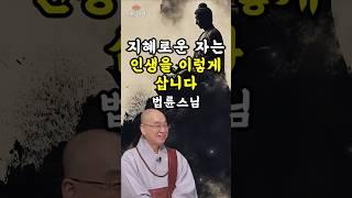 법륜스님의 말하는 지혜로운 자는 이렇게 인생을 살아갑니다 #부처님말씀 #석가모니인생조언 #불교교리
