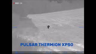 PULSAR THERMION XP50 - lov divočáka - hog hunt - 75m