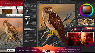SketchClub JR ART LAB -: Northern Harrier - (Clip Studio)