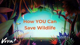 How YOU Can Save Wildlife