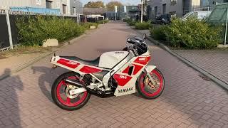 YAMAHA TZR250 FOR SALE: walkaround