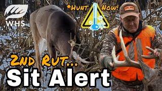 Awesome 2nd Rut Sit Alert | Are you ready?