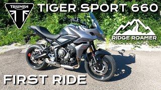 THRASHED! - Triumph Tiger Sport 660 - First Ride Report (really only a light thrashing)