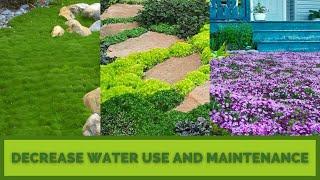 LAWN SUBSTITUTES AND GROUND COVERS | Ditch the Grass for an Easier Landscape