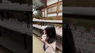 【招き猫を撮りにいく】#東京#世田谷#豪徳寺#招き猫 #猫#ネコ#ねこ #gotokuji#cat #建築 #カメラ女子