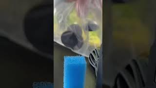 Powered By:Sicce Nano Micron micron   Minii beast?