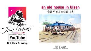 Jini Urbans TV _ Live Drawing _ 울산 주전의 농가