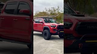 Roof rack isn’t just for looks #trdpro #fyp #toyotatacoma #4x4offroad #parati #mamalona #work