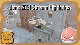 ToastyBits' June 2021 Stream Highlights