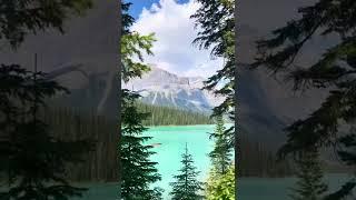 4 MUST-SEE places in BANFF National Park #lakelouise #morainelake #emeraldlake #peytolake