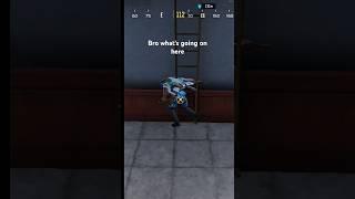 what is going on here?